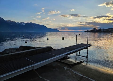 Thonon plage terrasse et parking Apartment in Thonon-les-Bains