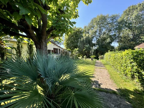 Natural landscape, Garden view