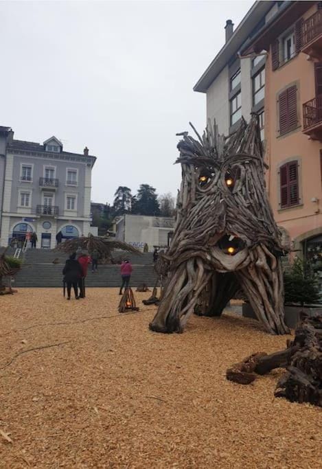 Bord lac, proche embarcadère, casino, funiculaire Apartment in Évian-les-Bains