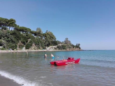 Day, People, Natural landscape, Activities, Beach, Sea view, group of guests