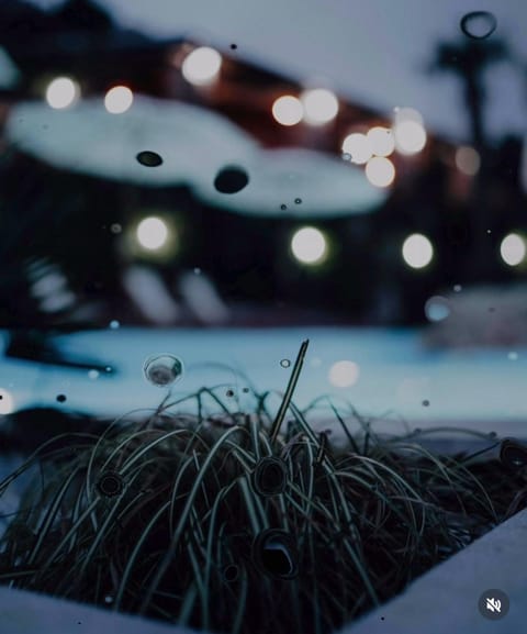 Property building, Night, Winter