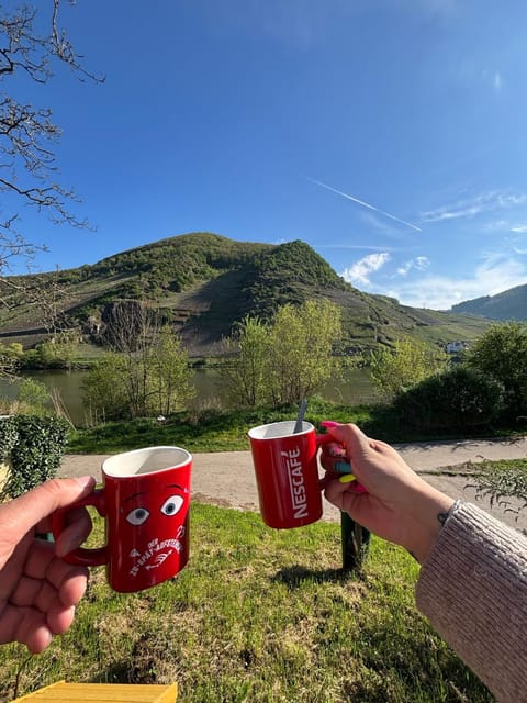 Haus Lowe Ferienwohnungen Apartment in Cochem-Zell