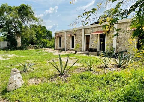 Property building, Spring, Day, Natural landscape, Garden, Garden view