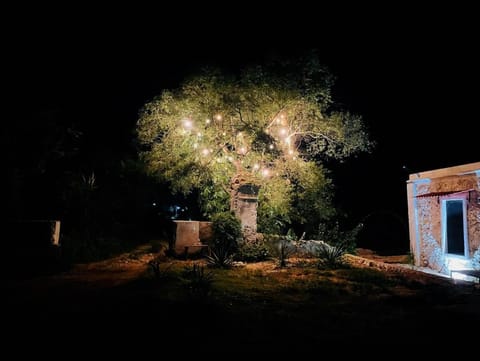 Property building, Spring, Night, Garden, Garden view