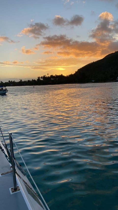 Catamaran AMAYA Docked boat in Moorea-Maiao