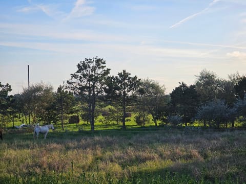 Natural landscape, Garden view