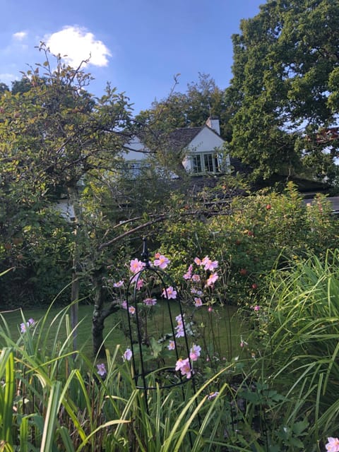 Garden, Garden, Garden view