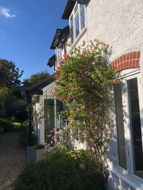 Garden, Garden view