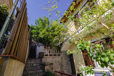 Property building, Spring, Day, Garden, Garden view