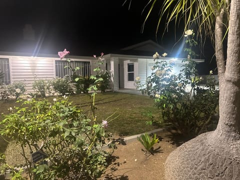 Property building, Night, Garden view