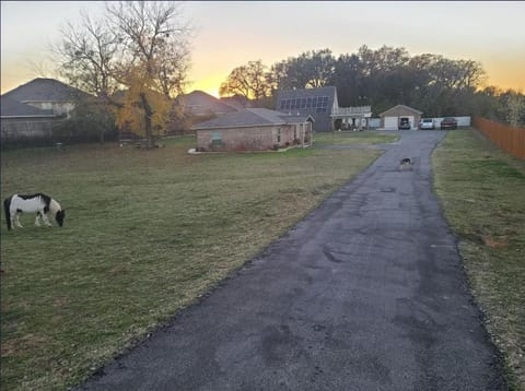 Neighbourhood, Natural landscape, Pets, Street view, Sunrise, Sunset