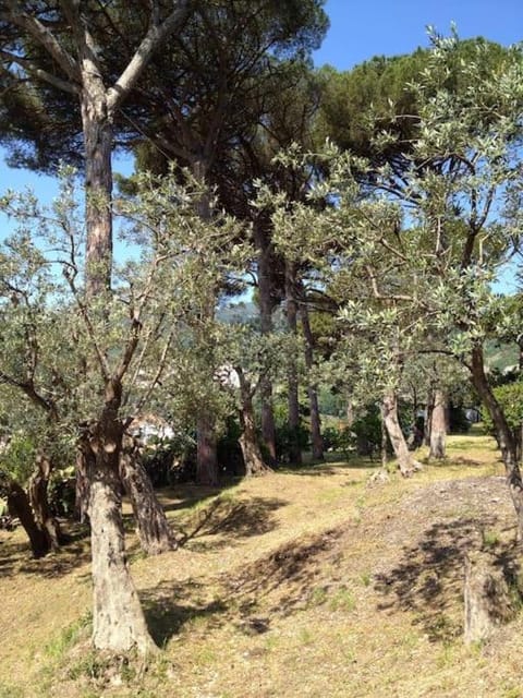 La Gabbianella con Piscina Villa in Vietri sul Mare