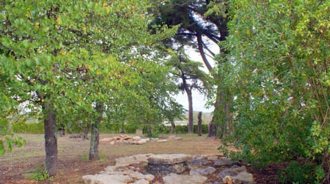 Off site, Natural landscape