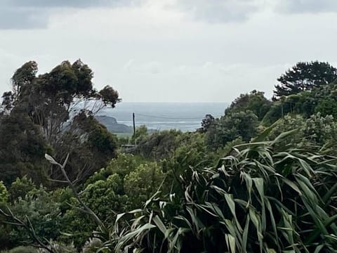 The Coastal Retreat House in Raglan