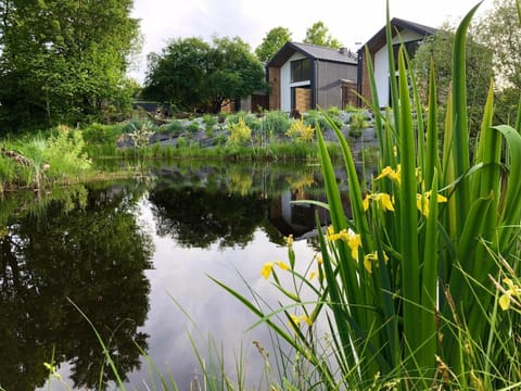 Day, Natural landscape, Garden, Garden view, Lake view