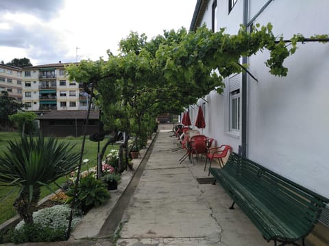 Balcony/Terrace, Garden view