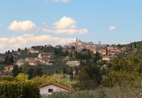 Nearby landmark, Natural landscape, City view