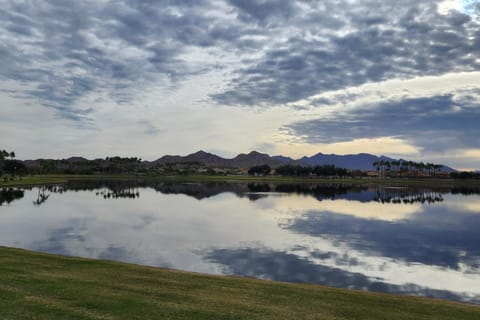 Goodyear Oasis House in Goodyear