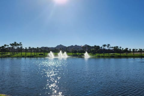 Goodyear Oasis House in Goodyear