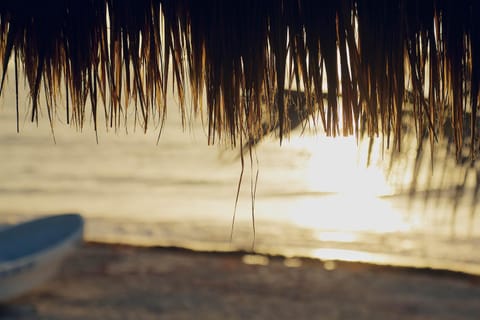 Natural landscape, Beach, Sunrise