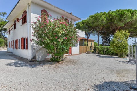 Property building, Spring, Garden, Garden view