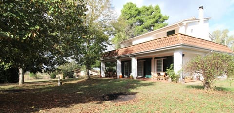 Property building, Garden, Garden view