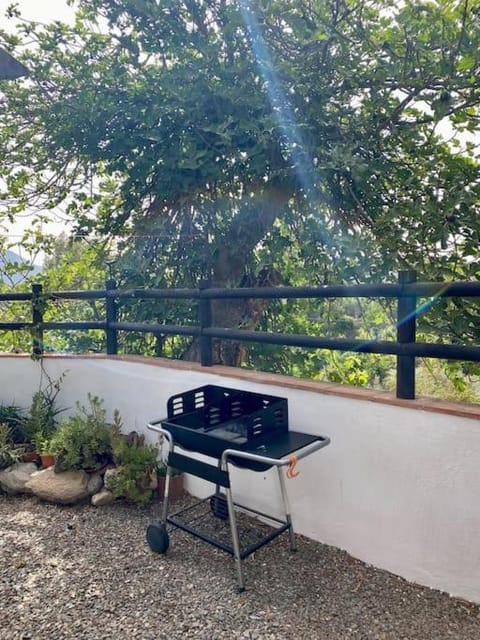 BBQ facilities, Garden