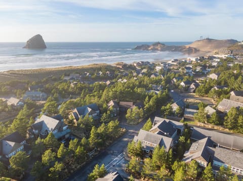 Little Mermaid House in Pacific City