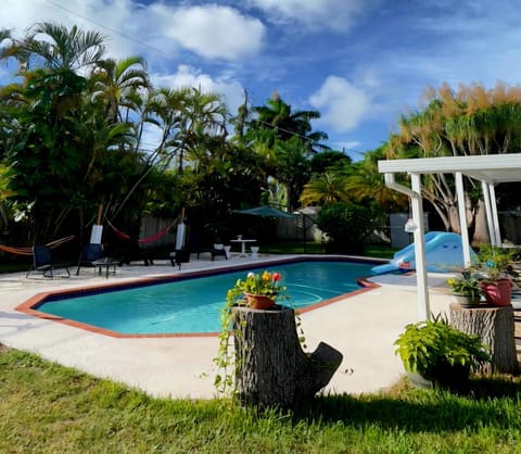 Garden, Pool view, Swimming pool, sunbed