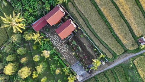 Property building, Bird's eye view