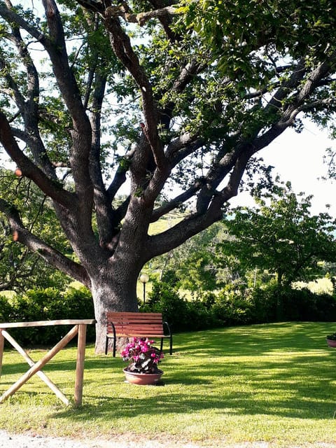 Garden, Garden view