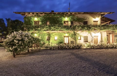 Property building, Night, Garden view