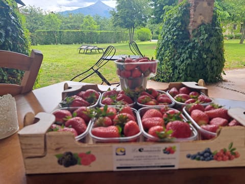 Natural landscape, Garden, Food, Garden view, Mountain view