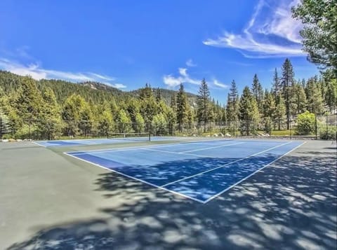 Day, Natural landscape, Tennis court