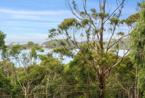 High View House - Views over Pirates Bay Casa in Eaglehawk Neck