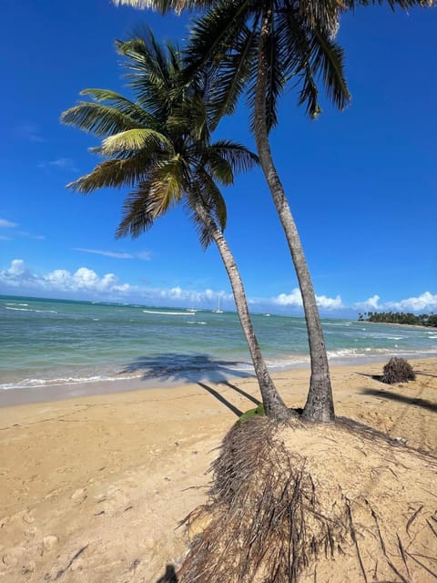 Beautiful Villa for 6, 2 steps away from Punta Popy Beach Villa in Las Terrenas