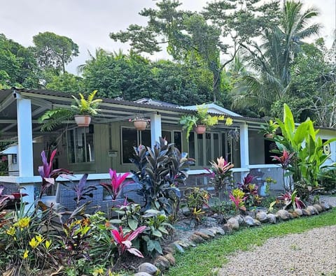 Property building, Garden, Garden view