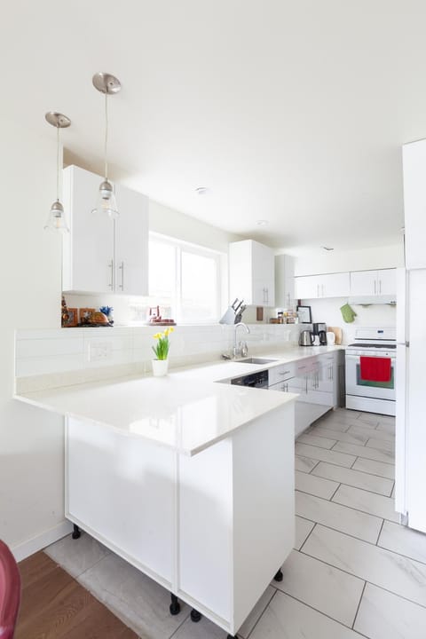 Kitchen or kitchenette, Photo of the whole room, dishwasher, oven, stove