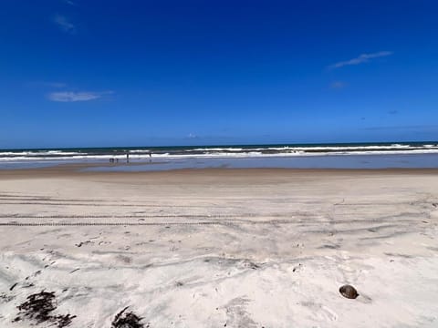 Natural landscape, Beach, Sea view