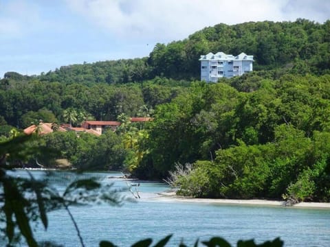 Le petit paradis perché d'Aurélie Apartment in Sainte-Anne