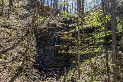 Whiskey Falls Retreat House in Sevierville