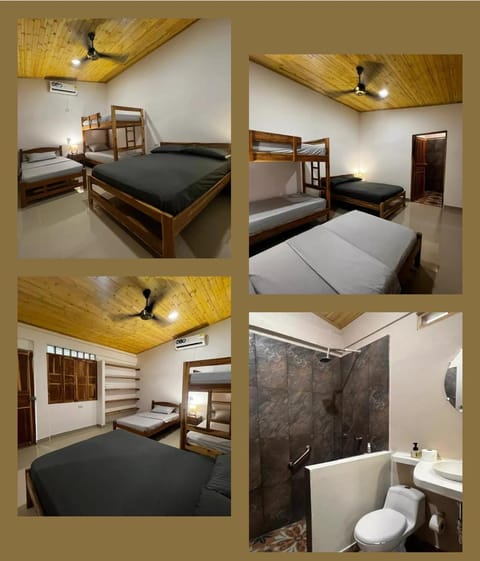 Photo of the whole room, Bedroom, bunk bed