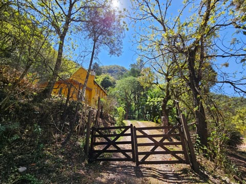 Spring, Day, Natural landscape