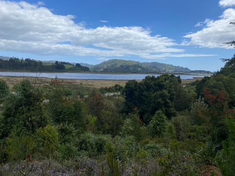 Rumiloft MEHUÍN House in Valdivia