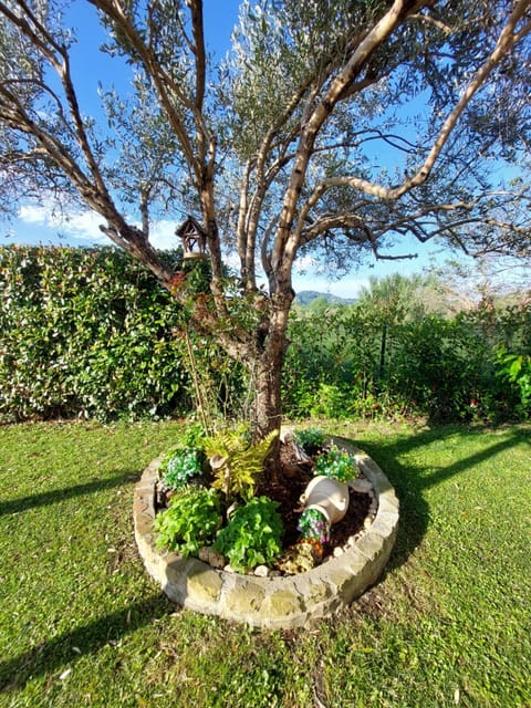 Rossodisera Bed and Breakfast in Sarzana