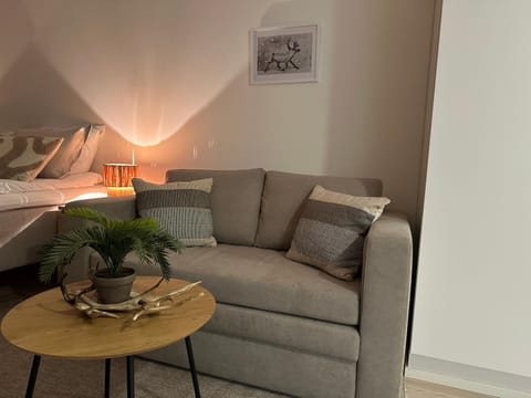 Santa's Holiday Homes Apartment in Rovaniemi