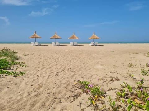 Natural landscape, Beach, Sea view, sunbed