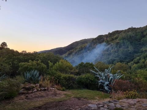 Natural landscape, View (from property/room), Garden view, Mountain view