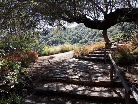 Property building, Natural landscape, Garden, Garden view, Mountain view