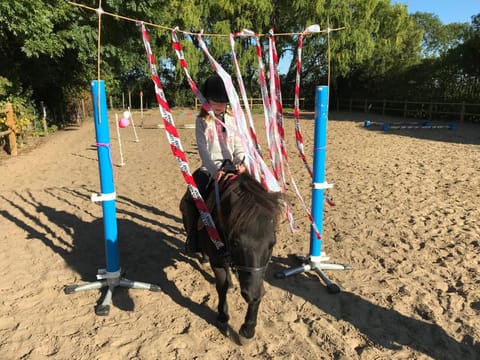 Horse-riding, children